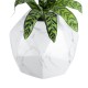 GloboStar® Artificial Garden BRIXTON 20783 Επιδαπέδιο Πολυεστερικό Τσιμεντένιο Κασπώ Γλάστρα - Flower Pot Λευκό Μ38 x Π38 x Υ38cm GloboStar® Artificial Garden BRIXTON 20783 Επιδαπέδιο Πολυεστερικό Τσιμεντένιο Κασπώ Γλάστρα - Flower Pot Λευκό Μ38 x Π38 x Υ38cm