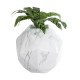 GloboStar® Artificial Garden BRIXTON 20783 Επιδαπέδιο Πολυεστερικό Τσιμεντένιο Κασπώ Γλάστρα - Flower Pot Λευκό Μ38 x Π38 x Υ38cm GloboStar® Artificial Garden BRIXTON 20783 Επιδαπέδιο Πολυεστερικό Τσιμεντένιο Κασπώ Γλάστρα - Flower Pot Λευκό Μ38 x Π38 x Υ38cm