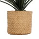 GloboStar® Artificial Garden MEDRANO 20799 ΣΕΤ 2 Διακοσμητικά Πολυεστερικά Τσιμεντένιά Κασπώ Γλάστρες - Flower Pots Μπεζ A:Φ25 x Υ23cm B:Φ25 x Υ23cm GloboStar® Artificial Garden MEDRANO 20799 ΣΕΤ 2 Διακοσμητικά Πολυεστερικά Τσιμεντένιά Κασπώ Γλάστρες - Flower Pots Μπεζ A:Φ25 x Υ23cm B:Φ25 x Υ23cm