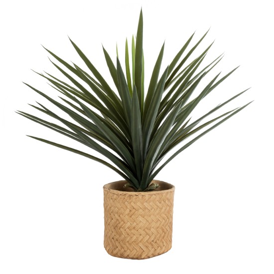 GloboStar® Artificial Garden MEDRANO 20799 ΣΕΤ 2 Διακοσμητικά Πολυεστερικά Τσιμεντένιά Κασπώ Γλάστρες - Flower Pots Μπεζ A:Φ25 x Υ23cm B:Φ25 x Υ23cm GloboStar® Artificial Garden MEDRANO 20799 ΣΕΤ 2 Διακοσμητικά Πολυεστερικά Τσιμεντένιά Κασπώ Γλάστρες - Flower Pots Μπεζ A:Φ25 x Υ23cm B:Φ25 x Υ23cm