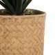 GloboStar® Artificial Garden MEDRANO 20799 ΣΕΤ 2 Διακοσμητικά Πολυεστερικά Τσιμεντένιά Κασπώ Γλάστρες - Flower Pots Μπεζ A:Φ25 x Υ23cm B:Φ25 x Υ23cm GloboStar® Artificial Garden MEDRANO 20799 ΣΕΤ 2 Διακοσμητικά Πολυεστερικά Τσιμεντένιά Κασπώ Γλάστρες - Flower Pots Μπεζ A:Φ25 x Υ23cm B:Φ25 x Υ23cm