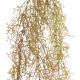 GloboStar® Artificial Garden HANGING AIR GRASS 20816 Τεχνητό Διακοσμητικό Κρεμαστό Φυτό Air Grass Μ22 x Π10 x Υ91cm GloboStar® Artificial Garden HANGING AIR GRASS 20816 Τεχνητό Διακοσμητικό Κρεμαστό Φυτό Air Grass Μ22 x Π10 x Υ91cm