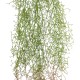 GloboStar® Artificial Garden HANGING AIR GRASS 20817 Τεχνητό Διακοσμητικό Κρεμαστό Φυτό Air Grass Μ22 x Π10 x Υ91cm GloboStar® Artificial Garden HANGING AIR GRASS 20817 Τεχνητό Διακοσμητικό Κρεμαστό Φυτό Air Grass Μ22 x Π10 x Υ91cm