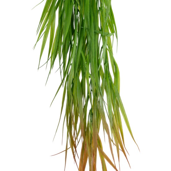 GloboStar® Artificial Garden HANGING CORN GRASS 20826 Τεχνητό Διακοσμητικό Κρεμαστό κλαδί Καλαμπόκι Μ23 x Π10 x Υ91cm GloboStar® Artificial Garden HANGING CORN GRASS 20826 Τεχνητό Διακοσμητικό Κρεμαστό κλαδί Καλαμπόκι Μ23 x Π10 x Υ91cm