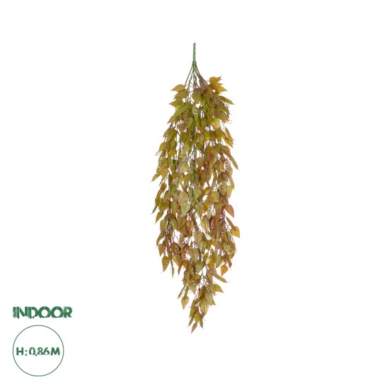 GloboStar® Artificial Garden HANGING LIMA BEAN 20844 Τεχνητό Διακοσμητικό Κρεμαστό Φυτό Φασόλι Λίμα Μ29 x Π10 x Υ86cm GloboStar® Artificial Garden HANGING LIMA BEAN 20844 Τεχνητό Διακοσμητικό Κρεμαστό Φυτό Φασόλι Λίμα Μ29 x Π10 x Υ86cm