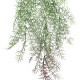 GloboStar® Artificial Garden HANGING FOENICULUM 20850 Τεχνητό Διακοσμητικό Κρεμαστό Φυτό Φοινίκουλο Μ30 x Π12 x Υ88cm GloboStar® Artificial Garden HANGING FOENICULUM 20850 Τεχνητό Διακοσμητικό Κρεμαστό Φυτό Φοινίκουλο Μ30 x Π12 x Υ88cm