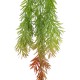 GloboStar® Artificial Garden HANGING BARLEY 20858 Τεχνητό Διακοσμητικό Κρεμαστό Φυτό Κριθάρι Μ26 x Π15 x Υ81cm GloboStar® Artificial Garden HANGING BARLEY 20858 Τεχνητό Διακοσμητικό Κρεμαστό Φυτό Κριθάρι Μ26 x Π15 x Υ81cm