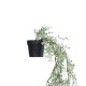 GloboStar® Artificial Garden HANGING DAFFODIL LEAF 20873 - Τεχνητό Κρεμαστό Διακοσμητικό Φυτό Φύλλο Νάρκισσου Φ25 x Y60cm GloboStar® Artificial Garden HANGING DAFFODIL LEAF 20873 - Τεχνητό Κρεμαστό Διακοσμητικό Φυτό Φύλλο Νάρκισσου Φ25 x Y60cm