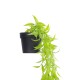 GloboStar® Artificial Garden HANGING CAMELIA LEAF 20879 - Τεχνητό Κρεμαστό Διακοσμητικό Φυτό Φύλλο Καμέλιας Φ31 x Y80cm GloboStar® Artificial Garden HANGING CAMELIA LEAF 20879 - Τεχνητό Κρεμαστό Διακοσμητικό Φυτό Φύλλο Καμέλιας Φ31 x Y80cm