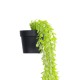 GloboStar® Artificial Garden HANGING MYRTLE 20881 - Τεχνητό Κρεμαστό Διακοσμητικό Φυτό Μυρτιά Φ21 x Y80cm GloboStar® Artificial Garden HANGING MYRTLE 20881 - Τεχνητό Κρεμαστό Διακοσμητικό Φυτό Μυρτιά Φ21 x Y80cm