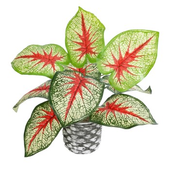 GloboStar® Artificial Garden CALADIUM 20891 Τεχνητό Διακοσμητικό Φυτό Τροπικό Φυτό Καλάδιο Φ40 x Υ33cm