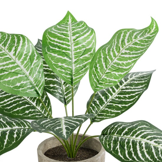 GloboStar® Artificial Garden ZEBRA POTTED PLANT 20898 Διακοσμητικό Φυτό Ζέμπρα Φ40 x Υ33cm GloboStar® Artificial Garden ZEBRA POTTED PLANT 20898 Διακοσμητικό Φυτό Ζέμπρα Φ40 x Υ33cm
