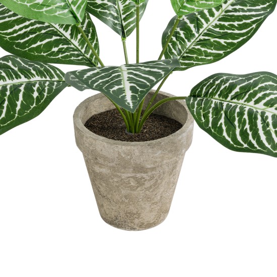 GloboStar® Artificial Garden ZEBRA POTTED PLANT 20898 Διακοσμητικό Φυτό Ζέμπρα Φ40 x Υ33cm GloboStar® Artificial Garden ZEBRA POTTED PLANT 20898 Διακοσμητικό Φυτό Ζέμπρα Φ40 x Υ33cm