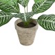 GloboStar® Artificial Garden ZEBRA POTTED PLANT 20898 Διακοσμητικό Φυτό Ζέμπρα Φ40 x Υ33cm GloboStar® Artificial Garden ZEBRA POTTED PLANT 20898 Διακοσμητικό Φυτό Ζέμπρα Φ40 x Υ33cm