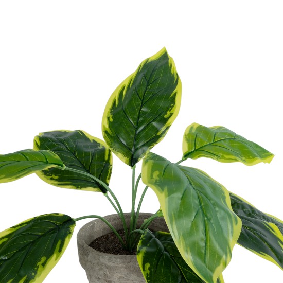 GloboStar® Artificial Garden YELLOW HOSTA PLANT 20899 Τεχνητό Διακοσμητικό Φυτό Κίτρινη Χόστα Φ45 x Υ40cm GloboStar® Artificial Garden YELLOW HOSTA PLANT 20899 Τεχνητό Διακοσμητικό Φυτό Κίτρινη Χόστα Φ45 x Υ40cm