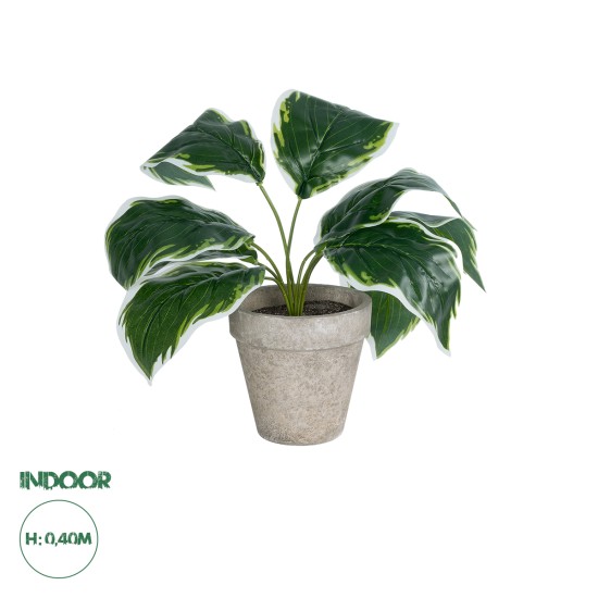 GloboStar® Artificial Garden WHITE HOSTA PLANT 20900 Διακοσμητικό Φυτό Λευκή Χόστα Φ45 x Υ40cm GloboStar® Artificial Garden WHITE HOSTA PLANT 20900 Διακοσμητικό Φυτό Λευκή Χόστα Φ45 x Υ40cm