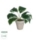 GloboStar® Artificial Garden WHITE HOSTA PLANT 20900 Διακοσμητικό Φυτό Λευκή Χόστα Φ45 x Υ40cm GloboStar® Artificial Garden WHITE HOSTA PLANT 20900 Διακοσμητικό Φυτό Λευκή Χόστα Φ45 x Υ40cm