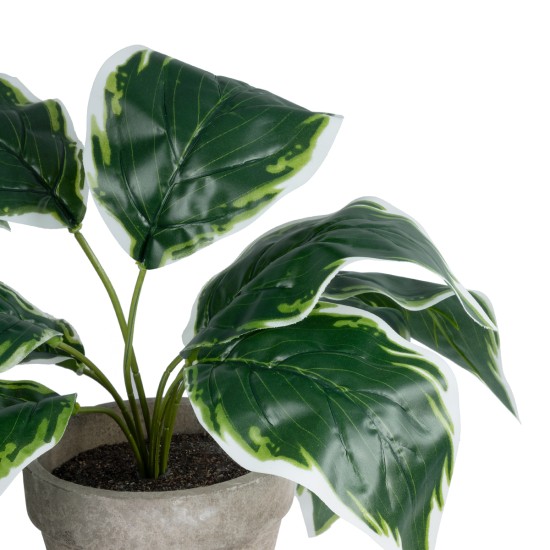 GloboStar® Artificial Garden WHITE HOSTA PLANT 20900 Διακοσμητικό Φυτό Λευκή Χόστα Φ45 x Υ40cm GloboStar® Artificial Garden WHITE HOSTA PLANT 20900 Διακοσμητικό Φυτό Λευκή Χόστα Φ45 x Υ40cm