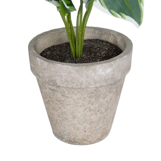 GloboStar® Artificial Garden WHITE HOSTA PLANT 20900 Διακοσμητικό Φυτό Λευκή Χόστα Φ45 x Υ40cm GloboStar® Artificial Garden WHITE HOSTA PLANT 20900 Διακοσμητικό Φυτό Λευκή Χόστα Φ45 x Υ40cm