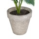 GloboStar® Artificial Garden WHITE HOSTA PLANT 20900 Διακοσμητικό Φυτό Λευκή Χόστα Φ45 x Υ40cm GloboStar® Artificial Garden WHITE HOSTA PLANT 20900 Διακοσμητικό Φυτό Λευκή Χόστα Φ45 x Υ40cm
