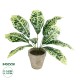 GloboStar® Artificial Garden YELLOW AGLAONEMA POTTED PLANT 20902 Διακοσμητικό Φυτό Κίτρινο Αγλαόνημα Φ40 x Υ33cm GloboStar® Artificial Garden YELLOW AGLAONEMA POTTED PLANT 20902 Διακοσμητικό Φυτό Κίτρινο Αγλαόνημα Φ40 x Υ33cm