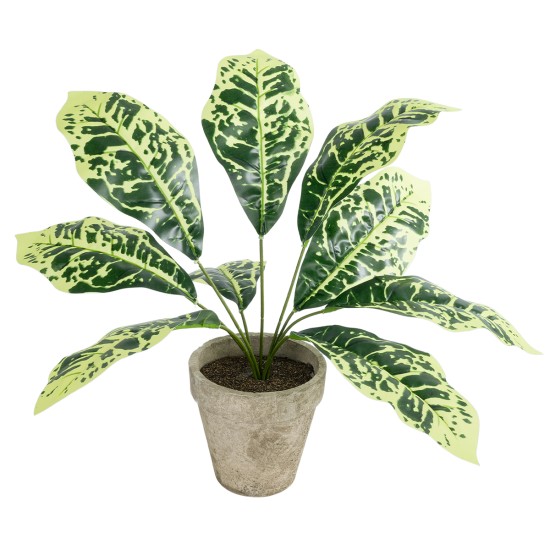 GloboStar® Artificial Garden YELLOW AGLAONEMA POTTED PLANT 20902 Διακοσμητικό Φυτό Κίτρινο Αγλαόνημα Φ40 x Υ33cm GloboStar® Artificial Garden YELLOW AGLAONEMA POTTED PLANT 20902 Διακοσμητικό Φυτό Κίτρινο Αγλαόνημα Φ40 x Υ33cm