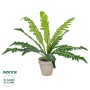 GloboStar® Artificial Garden  ASPLENIUM POTTED PLANT 20904 Διακοσμητικό Φυτό Aslenium Φ40 x Υ33cm