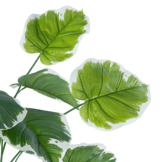 GloboStar® Artificial Garden WHITE HOSTA PLANT 20920 Διακοσμητικό Φυτό Λευκή Χόστα Φ87 x Υ80cm GloboStar® Artificial Garden WHITE HOSTA PLANT 20920 Διακοσμητικό Φυτό Λευκή Χόστα Φ87 x Υ80cm