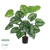 GloboStar® Artificial Garden CALATHEA PLANT 20922 Διακοσμητικό Φυτό Καλαθέα Φ70 x Υ80cm