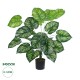 GloboStar® Artificial Garden CALATHEA PLANT 20922 Διακοσμητικό Φυτό Καλαθέα Φ70 x Υ80cm GloboStar® Artificial Garden CALATHEA PLANT 20922 Διακοσμητικό Φυτό Καλαθέα Φ70 x Υ80cm