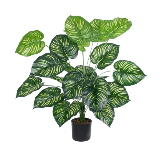 GloboStar® Artificial Garden CALATHEA PLANT 20922 Διακοσμητικό Φυτό Καλαθέα Φ70 x Υ80cm GloboStar® Artificial Garden CALATHEA PLANT 20922 Διακοσμητικό Φυτό Καλαθέα Φ70 x Υ80cm
