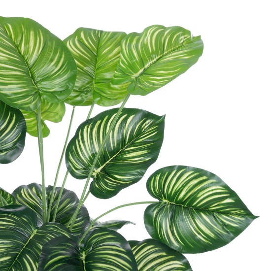 GloboStar® Artificial Garden CALATHEA PLANT 20922 Διακοσμητικό Φυτό Καλαθέα Φ70 x Υ80cm GloboStar® Artificial Garden CALATHEA PLANT 20922 Διακοσμητικό Φυτό Καλαθέα Φ70 x Υ80cm