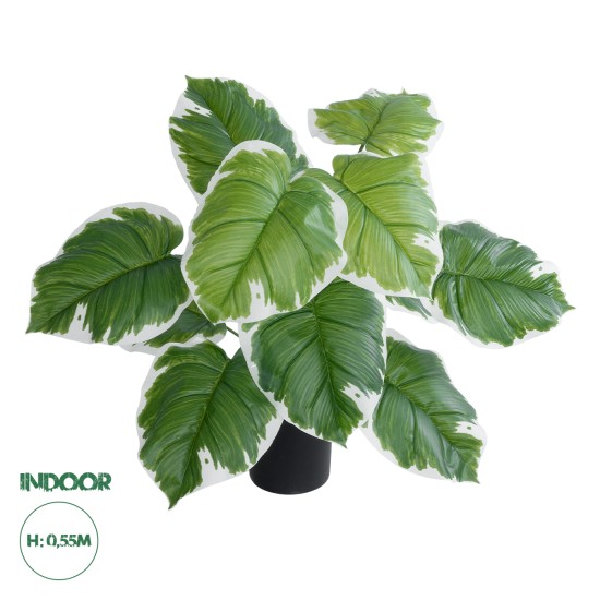 GloboStar® Artificial Garden WHITE HOSTA PLANT 20931 Διακοσμητικό Φυτό Λευκή Χόστα Φ60 x Υ55cm GloboStar® Artificial Garden WHITE HOSTA PLANT 20931 Διακοσμητικό Φυτό Λευκή Χόστα Φ60 x Υ55cm