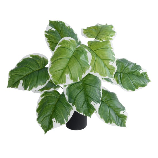 GloboStar® Artificial Garden WHITE HOSTA PLANT 20931 Διακοσμητικό Φυτό Λευκή Χόστα Φ60 x Υ55cm GloboStar® Artificial Garden WHITE HOSTA PLANT 20931 Διακοσμητικό Φυτό Λευκή Χόστα Φ60 x Υ55cm