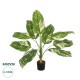 GloboStar® Artificial Garden DIEFFENBACHIA 20941 Τεχνητό Διακοσμητικό Φυτό Πράσινη & Μπεζ Διφενμπάχια Μ80 x Π80 x Υ90cm GloboStar® Artificial Garden DIEFFENBACHIA 20941 Τεχνητό Διακοσμητικό Φυτό Πράσινη & Μπεζ Διφενμπάχια Μ80 x Π80 x Υ90cm