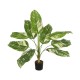GloboStar® Artificial Garden DIEFFENBACHIA 20941 Τεχνητό Διακοσμητικό Φυτό Πράσινη & Μπεζ Διφενμπάχια Μ80 x Π80 x Υ90cm GloboStar® Artificial Garden DIEFFENBACHIA 20941 Τεχνητό Διακοσμητικό Φυτό Πράσινη & Μπεζ Διφενμπάχια Μ80 x Π80 x Υ90cm