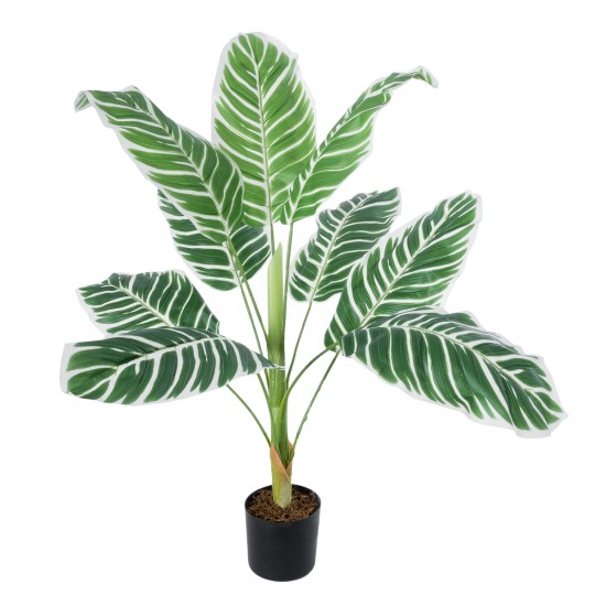GloboStar® Artificial Garden WHITE ZEBRA PLANT 20943 Τεχνητό Διακοσμητικό Φυτό Λευκή Ζέβρα Φ90 x Υ90cm GloboStar® Artificial Garden WHITE ZEBRA PLANT 20943 Τεχνητό Διακοσμητικό Φυτό Λευκή Ζέβρα Φ90 x Υ90cm