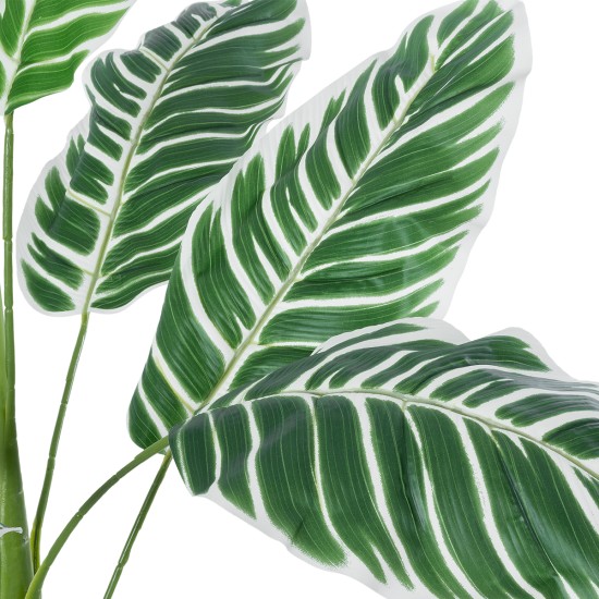 GloboStar® Artificial Garden WHITE ZEBRA PLANT 20943 Τεχνητό Διακοσμητικό Φυτό Λευκή Ζέβρα Φ90 x Υ90cm GloboStar® Artificial Garden WHITE ZEBRA PLANT 20943 Τεχνητό Διακοσμητικό Φυτό Λευκή Ζέβρα Φ90 x Υ90cm