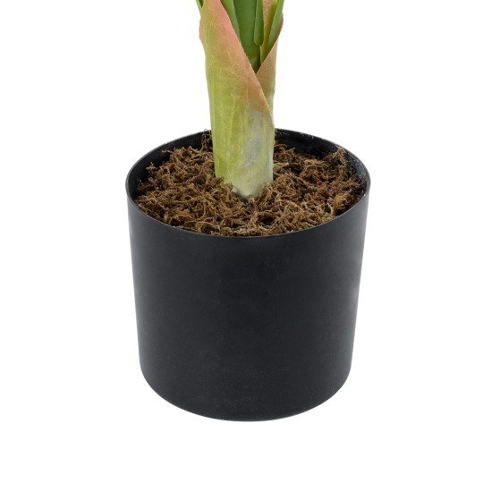 GloboStar® Artificial Garden WHITE ZEBRA PLANT 20943 Τεχνητό Διακοσμητικό Φυτό Λευκή Ζέβρα Φ90 x Υ90cm GloboStar® Artificial Garden WHITE ZEBRA PLANT 20943 Τεχνητό Διακοσμητικό Φυτό Λευκή Ζέβρα Φ90 x Υ90cm