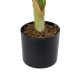 GloboStar® Artificial Garden WHITE ZEBRA PLANT 20943 Τεχνητό Διακοσμητικό Φυτό Λευκή Ζέβρα Φ90 x Υ90cm GloboStar® Artificial Garden WHITE ZEBRA PLANT 20943 Τεχνητό Διακοσμητικό Φυτό Λευκή Ζέβρα Φ90 x Υ90cm