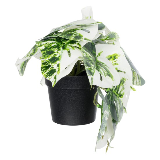 GloboStar® Artificial Garden ALBINO MONSTERA PLANT 20946 - Διακοσμητικό Φυτό Μονστέρα Φ23 x Υ16cm GloboStar® Artificial Garden ALBINO MONSTERA PLANT 20946 - Διακοσμητικό Φυτό Μονστέρα Φ23 x Υ16cm