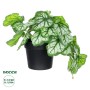 GloboStar® Artificial Garden WHITE BEGONIA PLANT 20947 Διακοσμητικό Φυτό Λευκή Βιγόνια Φ23 x Υ16cm