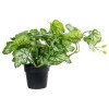 GloboStar® Artificial Garden BEGONIA PLANT 20958 Διακοσμητικό Φυτό Βιγόνια Φ47 x Υ22cm