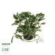 GloboStar® Artificial Garden ZEBRINA PLANT 20960 Διακοσμητικό Φυτό Ζεμπρίνα Φ45 x Υ22cm GloboStar® Artificial Garden ZEBRINA PLANT 20960 Διακοσμητικό Φυτό Ζεμπρίνα Φ45 x Υ22cm