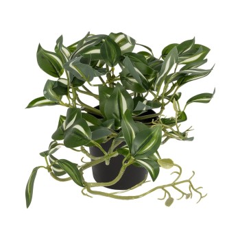 GloboStar® Artificial Garden ZEBRINA PLANT 20960 Διακοσμητικό Φυτό Ζεμπρίνα Φ45 x Υ22cm