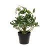 GloboStar® Artificial Garden ZEBRINA PLANT 20960 Διακοσμητικό Φυτό Ζεμπρίνα Φ45 x Υ22cm