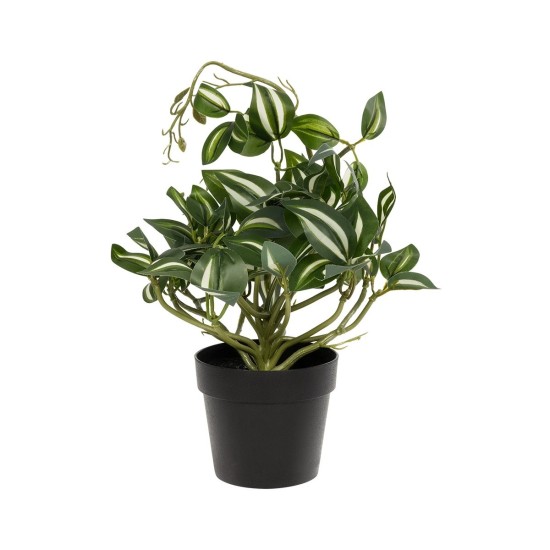 GloboStar® Artificial Garden ZEBRINA PLANT 20960 Διακοσμητικό Φυτό Ζεμπρίνα Φ45 x Υ22cm GloboStar® Artificial Garden ZEBRINA PLANT 20960 Διακοσμητικό Φυτό Ζεμπρίνα Φ45 x Υ22cm