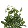 GloboStar® Artificial Garden ZEBRINA PLANT 20960 Διακοσμητικό Φυτό Ζεμπρίνα Φ45 x Υ22cm