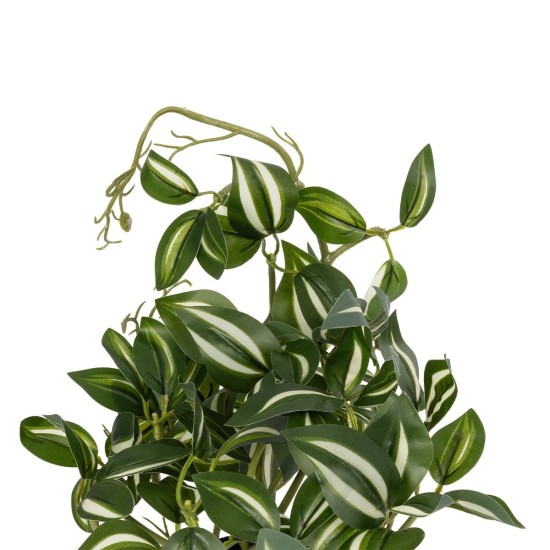 GloboStar® Artificial Garden ZEBRINA PLANT 20960 Διακοσμητικό Φυτό Ζεμπρίνα Φ45 x Υ22cm GloboStar® Artificial Garden ZEBRINA PLANT 20960 Διακοσμητικό Φυτό Ζεμπρίνα Φ45 x Υ22cm