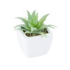 GloboStar® Artificial Garden SUCCULENT ALOE LOTUS PLANT 20976 Διακοσμητικό Φυτό Παχύφυτο Λωτός Αλόης Φ8 x Υ8cm